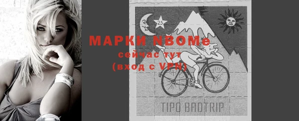 шишки Весьегонск